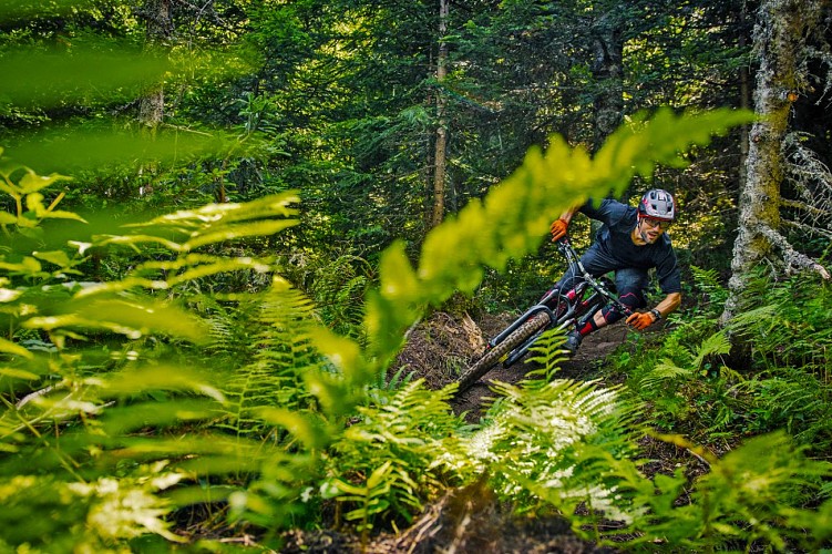Enduro de la Trace - Enduro MTB track no. 37