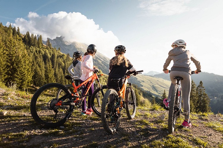 Panorama van de Crêt du Merle - Cross-country MTB-parcours nr. 50