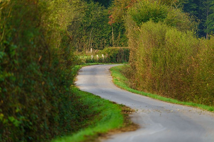 MTFA_RAVEL_11092020_005