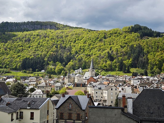 Vue Bort