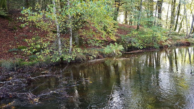 Le chemin de la Reine Margot