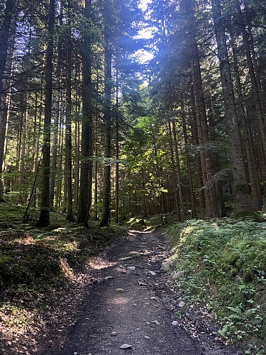Boucle pédestre autour de Saint-Sigismond en 2 jours_Cluses