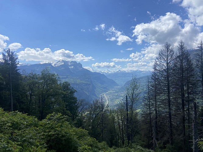 2-day walking circuit around Saint-Sigismond - Stage 1