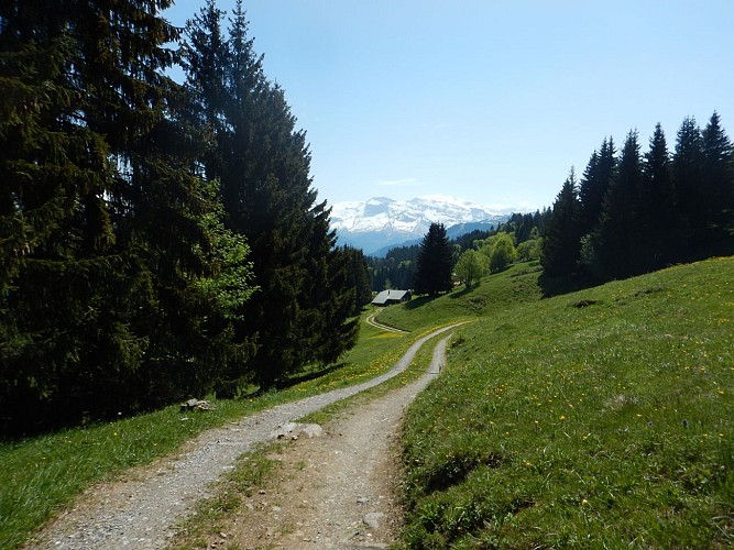 Boucle pédestre autour de Saint-Sigismond en 2 jours - Étape 2 : Croix du Chêne - Cluses_Saint-Sigismond