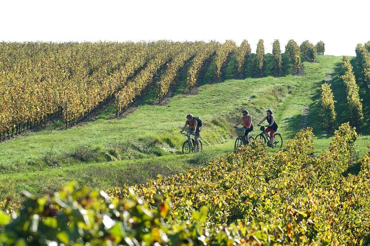 Coup de coeur - VTT - JPV_3197