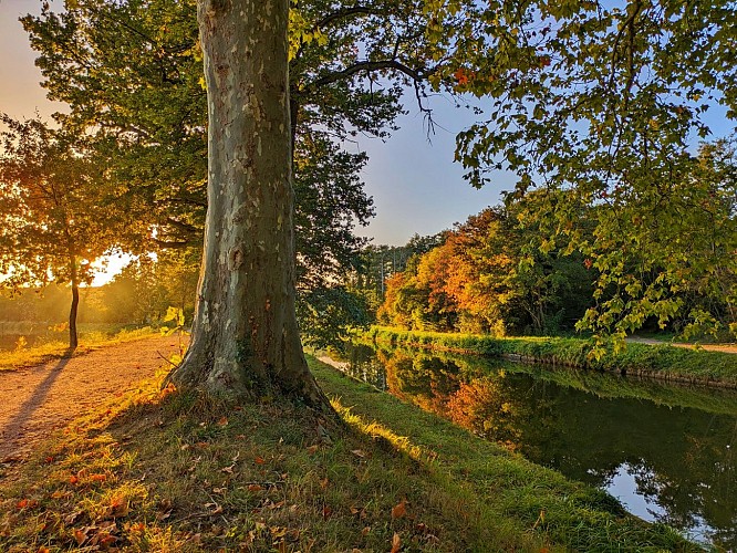 Allée des Soupirs à Montchanin