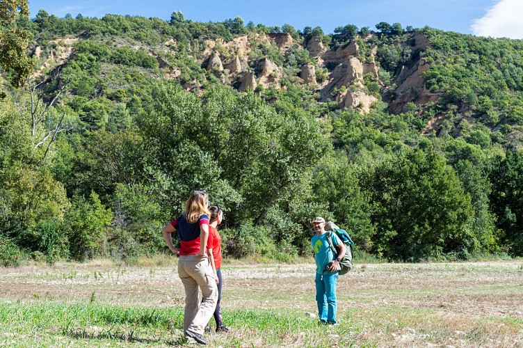 GR® de Pays – Grande Traversée des Préalpes (GTPA) - Etape Saint-Geniez – Col Mounis – Thoard_Thoard