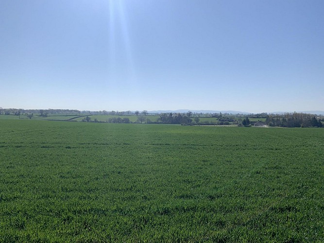 Randonnée à Saint Gérant le Puy_Saint-Gérand-le-Puy