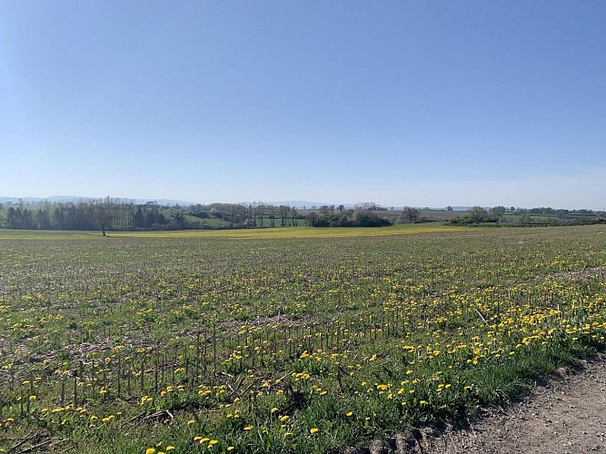 Randonnée à Saint Gérant le Puy_Saint-Gérand-le-Puy
