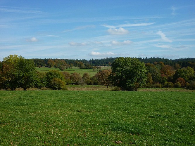 Vom Plateau des Tailles zum Bernistap - Streckenabschnitt 1 - Houffalize - Les Tailles