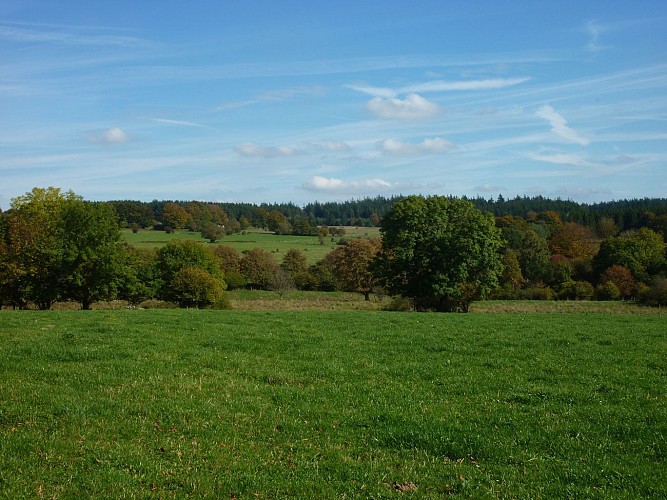 Du Plateau des Tailles à Bernistap - Tronçon 1 Houffalize - Les Tailles 