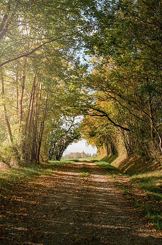 Sentier des Graniteurs - Charly