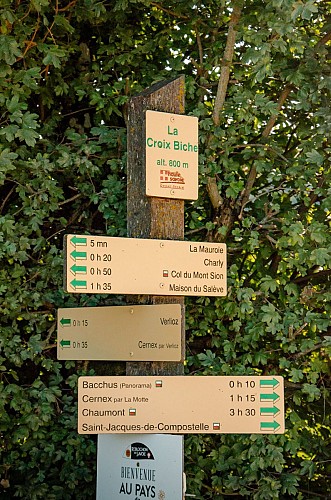 GR® 65 - Chemin de Compostelle - Col de la Croix Biche