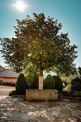 Place de la Mairie de Villy-le-Bouveret