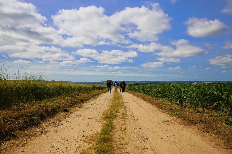 N° 13 Le Grimbourg Molagnies