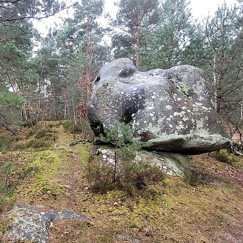 Aux abords de Samois-sur-Seine