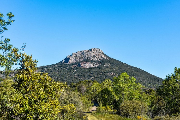 CRETES_DU_VISSOU©2021_laura_maurel