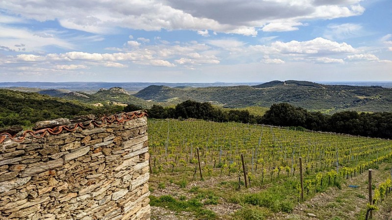 crozes - balade médiévale  5 @ Gilles Delerue