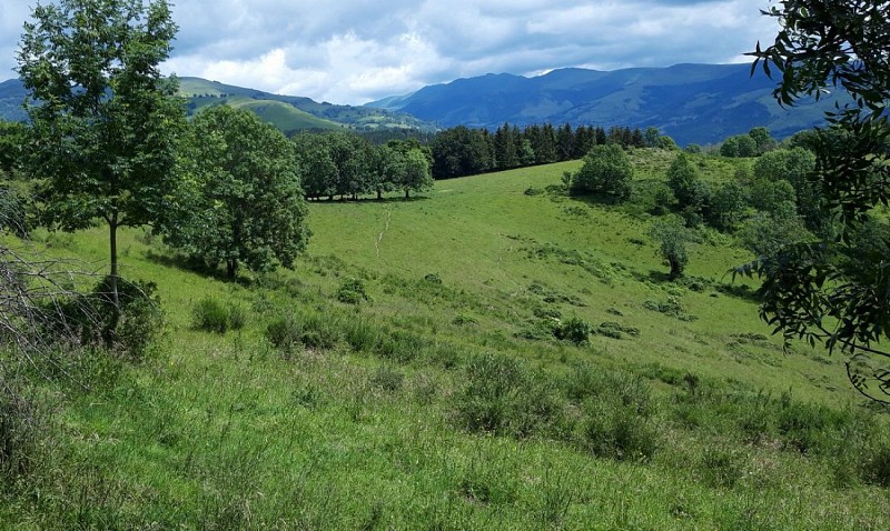 La Grotte des Anglais à Vic sur Cère - circuit fermé momentanément-