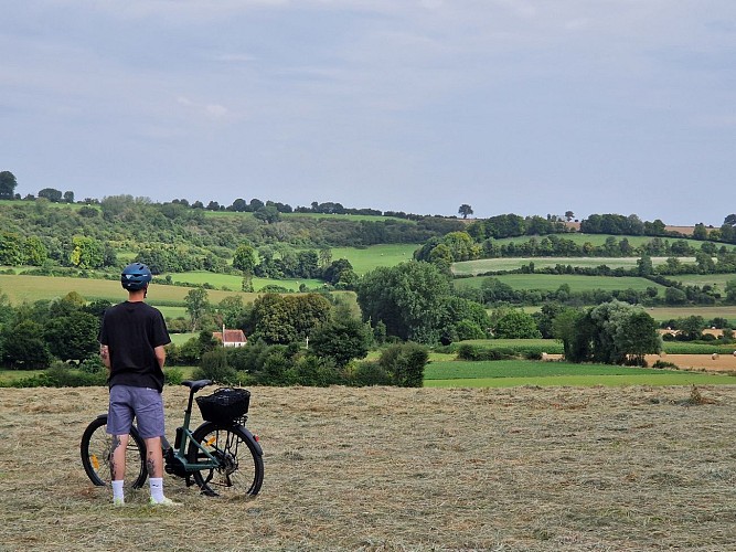 Campagne ternésienne