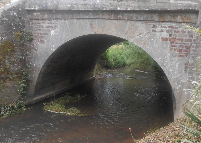 Dans le bocage de Saint-Martin-de-Bonfossé