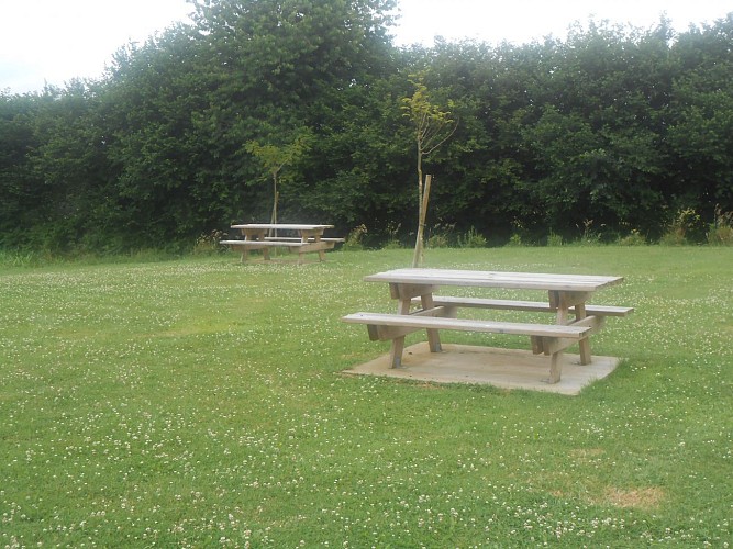 Dans le bocage de Saint-Martin-de-Bonfossé