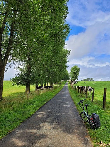 Campagne ternésienne