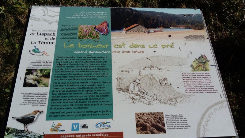 Le Pont du Metty à La Bresse (88) : circuit 1