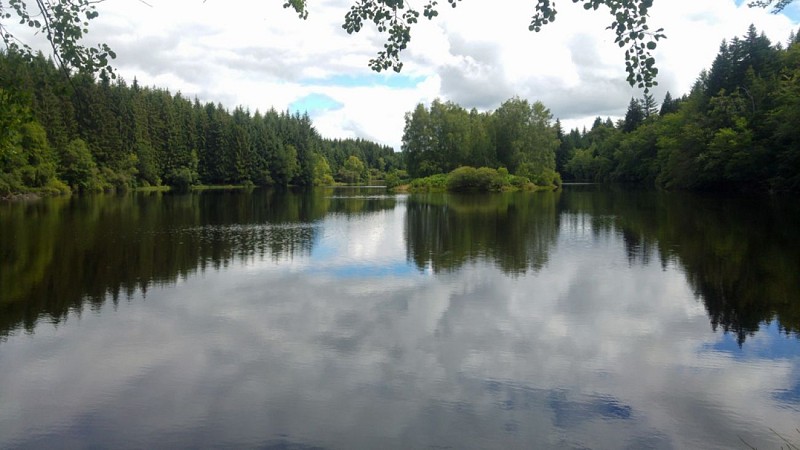 Le mystère de l'étang noir_3