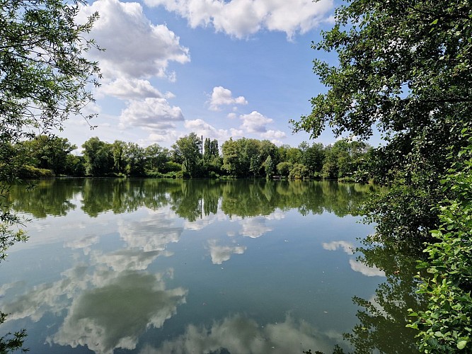 Marais de Biache-Saint-Vaast