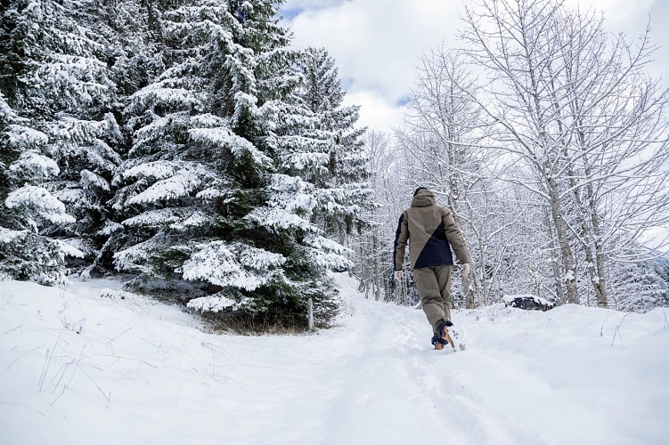 Route sneeuwschoenwandelen : Refuge de Golèse (ongemarkeerd)_Samoëns