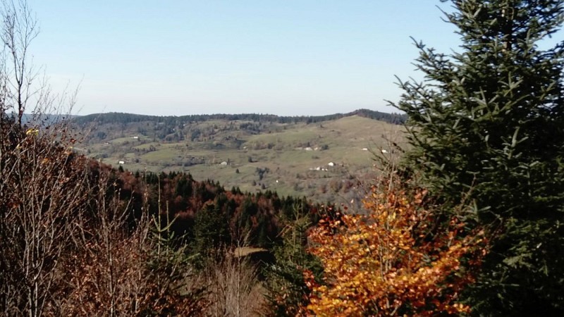 Le Pont du Metty à La Bresse (88) : circuit 2