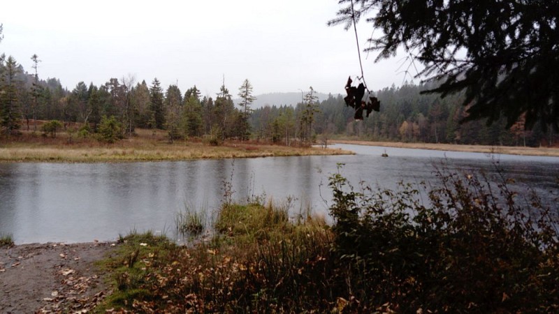 Le Pont du Metty à La Bresse (88) : circuit 3