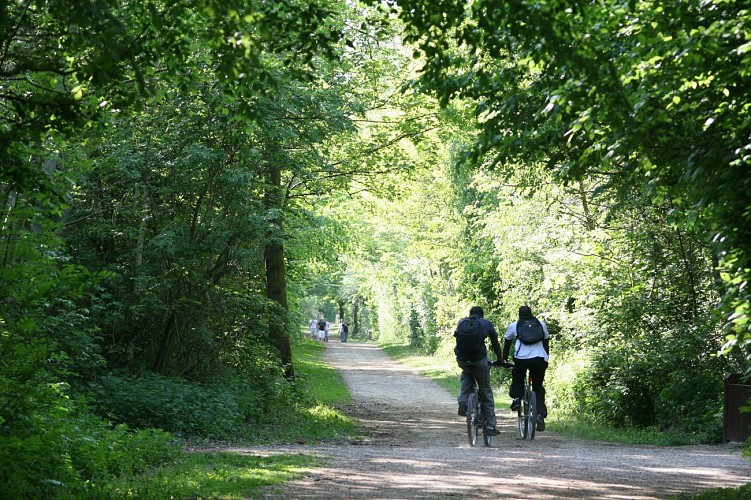Virée en Chantereine