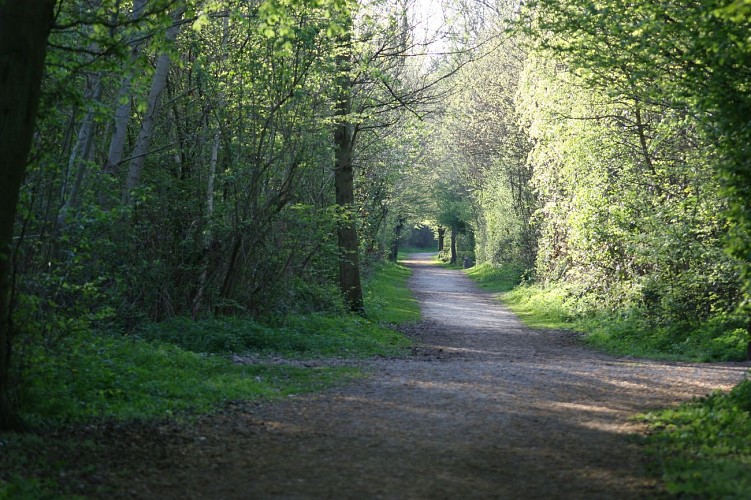 Boucle de la Mare aux Sangsues_Vaires-sur-Marne