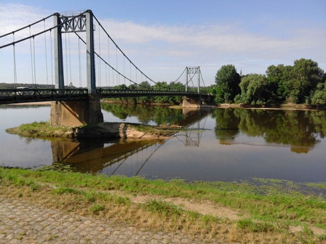 Circuit de randonnée Les Rosiers sur Loire : L'Ile Ollivier