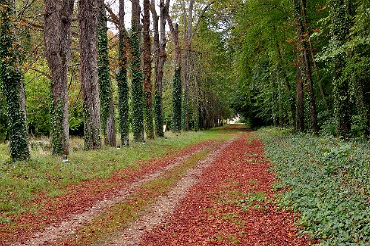 Circuit de randonnée : Vernantes