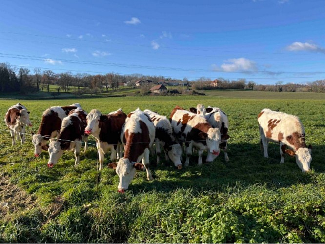 Petite boucle des Paysages des Lanches_Montagny-les-Lanches