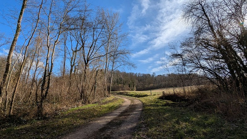 Chemin vers le plateau II