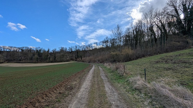 Chemin vers le plateau III