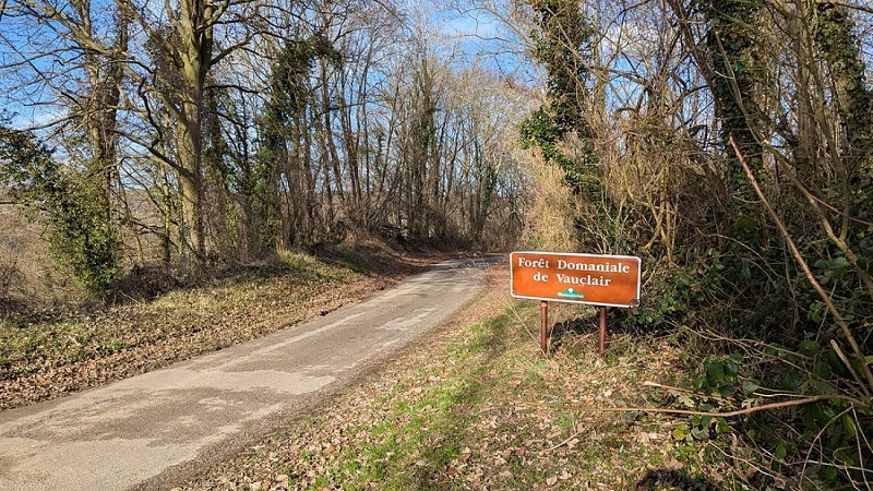 Route départementale 102