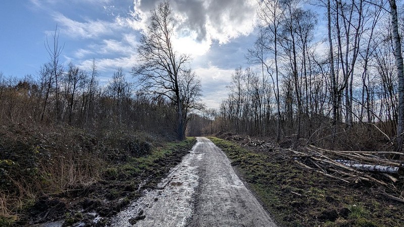 Chemin vers le plateau
