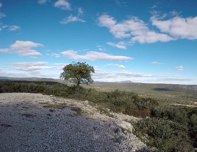 Bois de la Rouvière / Bois de Nasse