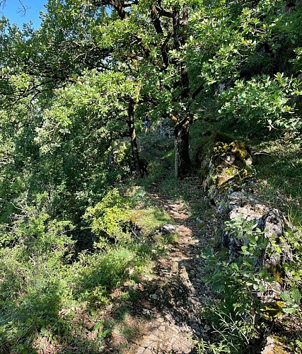 Boucle au départ Salles la Source