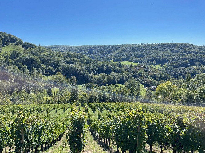 Boucle au départ Salles la Source