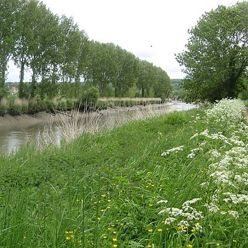 Panorama sur la Risle maritime