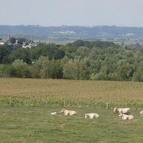 Panorama sur la vallée de la Seine