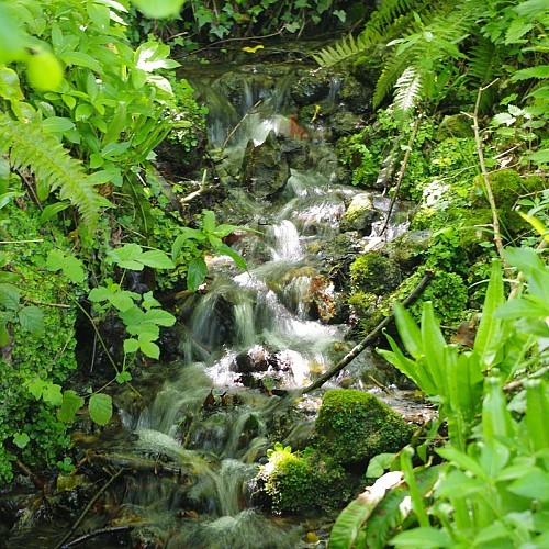 Vallée de la Morelle