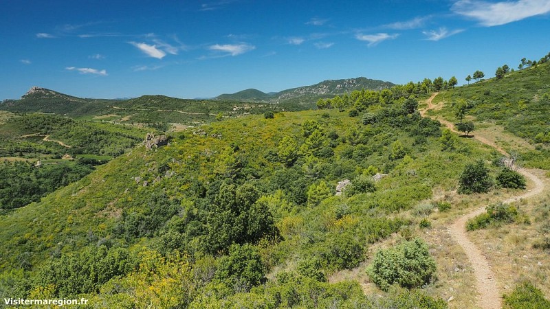 Les collines de Nébian