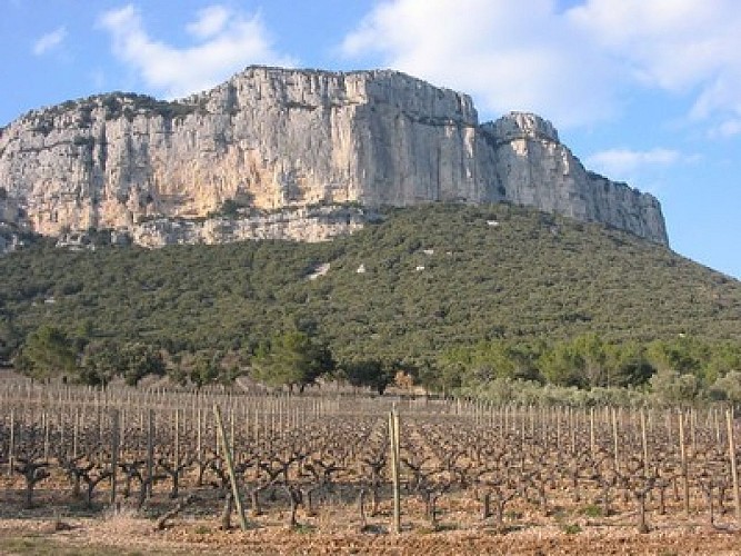 Valfaunes - Les Crêtes de l'Hortus